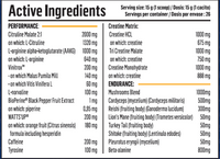 PUMP PREWORKOUT 400 g